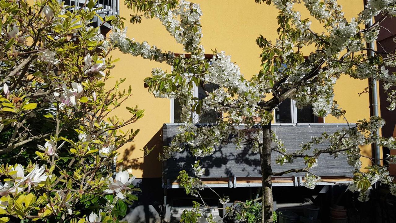 Stilvolle Ferienwohnung Am Stadthafen Schwerin Schwerin  Dış mekan fotoğraf